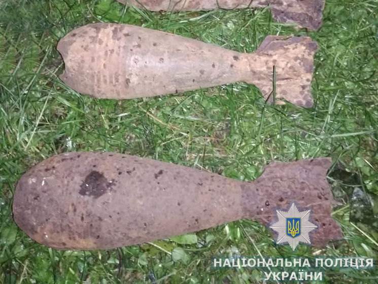 В результате взрыва боеприпаса в Житомирской области ранен мужчина