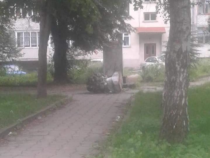 В Золочеве Львовской области вандалы уничтожили памятник Пушкину &ndash; мэр