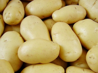 С 16 июня ввоз украинского картофеля на территорию РФ под запретом