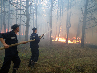Пожар на Херсонщине повредил около 140 гектаров смешанного леса 
