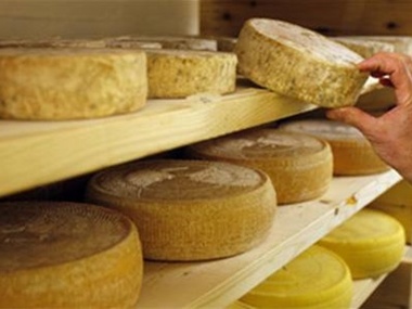 Экспорт украинского сыра сократился на 41%