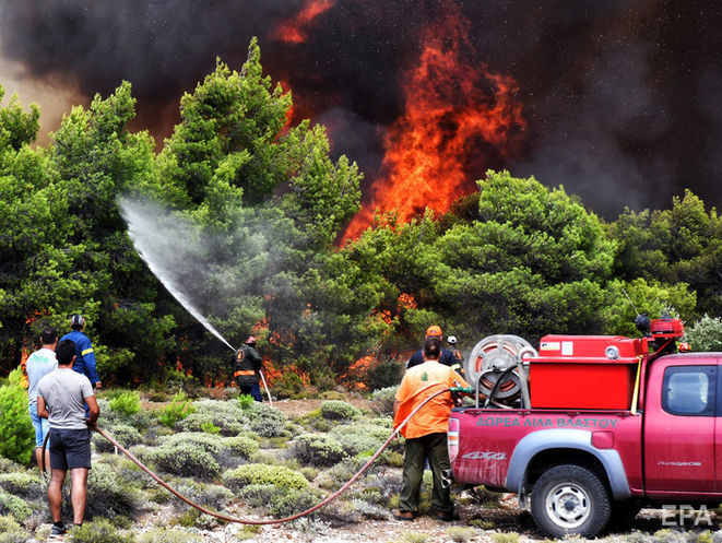 В Греции из-за пожаров два вице-мэра пострадавшего города Марафон подали в отставку