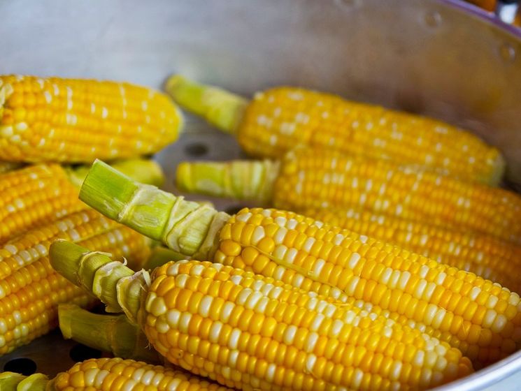 ﻿Кукурудза: користь і шкода