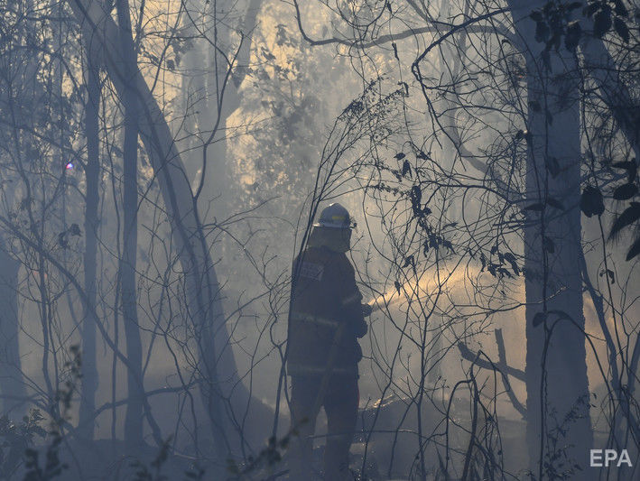 ﻿У Фінляндії цьогоріч зафіксовано рекордну кількість лісових пожеж