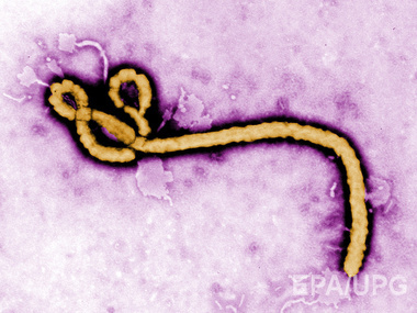 ВОЗ: распространение Эбола &ndash; угроза международного значения