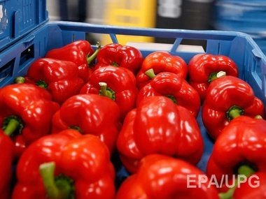 Евросоюз потратит €125 млн на защиту своих сельхозпроизводителей от санкций РФ