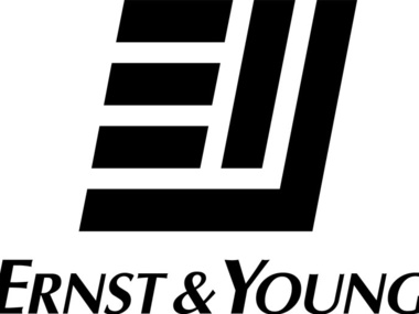 Компания Ernst & Young проведет оценку стоимости активов "Нафтогаза"