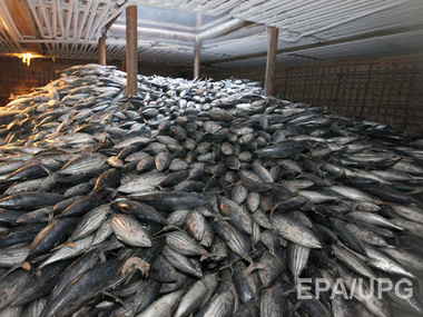 В Крым не пустили 20 тонн рыбы