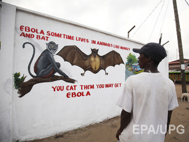 ООН надеется в нынешнем году победить вирус Эбола
