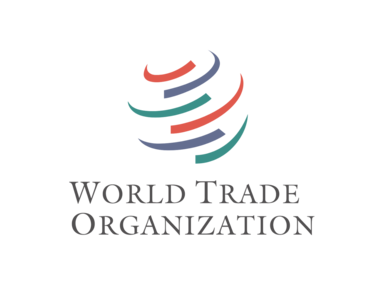 СМИ: Украина хочет изменить условия членства в ВТО