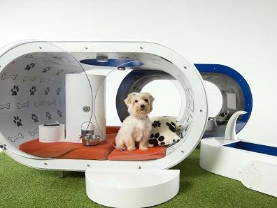 Samsung Electronics создал будку для собак за $30 тысяч. Видео