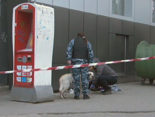 МВД: В центре Одессы служебная собака помогла обнаружить сумку со взрывчаткой