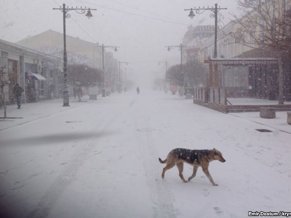 К годовщине аннексии Крыма Россией Симферополь засыпало снегом. Фоторепортаж