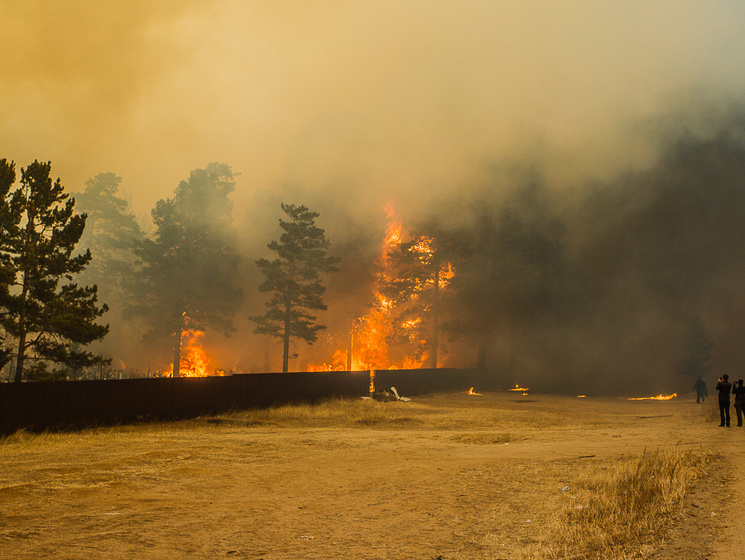 В Забайкалье бушуют лесные пожары. Есть жертвы