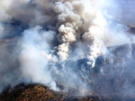 Greenpeace: Пожары из Забайкалья пересекли границу с Монголией