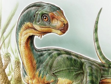 В Чили ученые обнаружили кости травоядного родственника тираннозавра