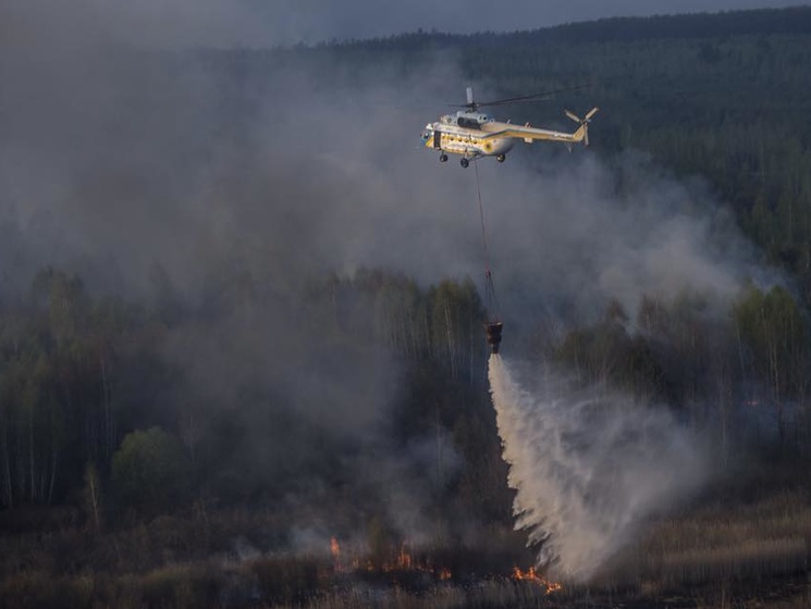 СМИ: Лесной пожар в районе Чернобыльской АЭС полностью ликвидирован