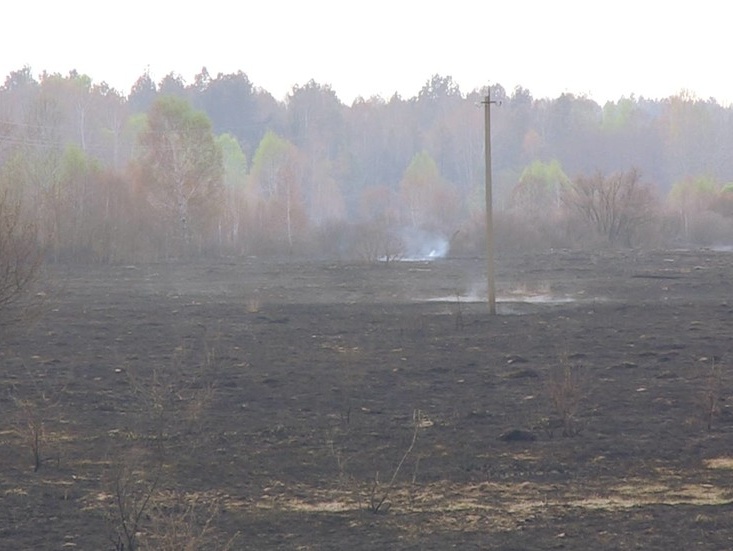 Госслужба по ЧС: Спасатели прочесывают пожароопасный район в "Чернобыльской пуще"