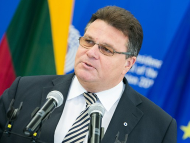 Глава МИД Литвы: Украинская власть должна подтвердить, что не причастна к пыткам активистов
