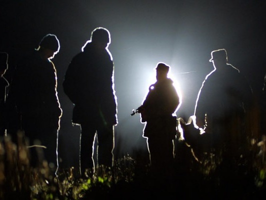 14 нелегалов из Ирака заблудились в белорусских лесах