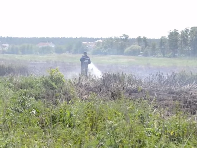 Госслужба по ЧС: В Киевской области пять очагов возгорания торфяников общей площадью около 4,6 га. Видео