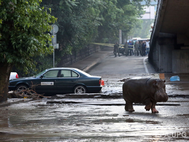 Число жертв наводнения в Тбилиси увеличилось до 12 человек