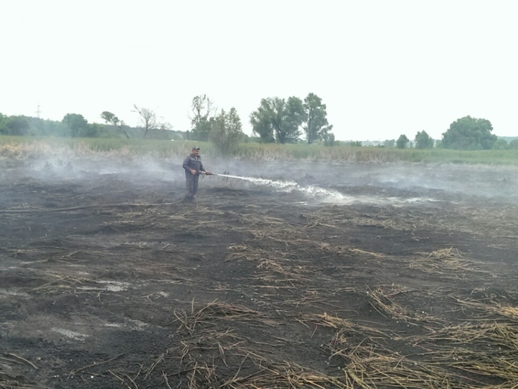 В Киевской области в восьми местах продолжают гореть торфяники