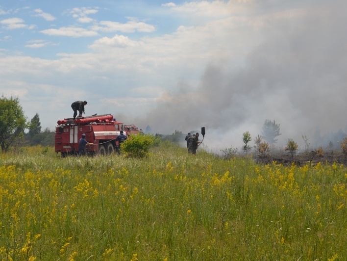 Госслужба по ЧС: В "Чернобыльской пуще" спасатели продолжают тушить очаги возгорания