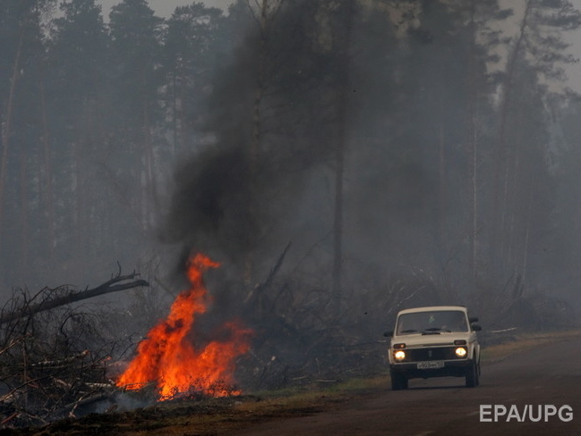 В Сибири огонь охватил 50 тысяч гектаров леса