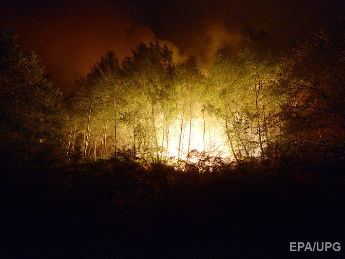 Во Франции крупный лесной пожар тушат с помощью авиации