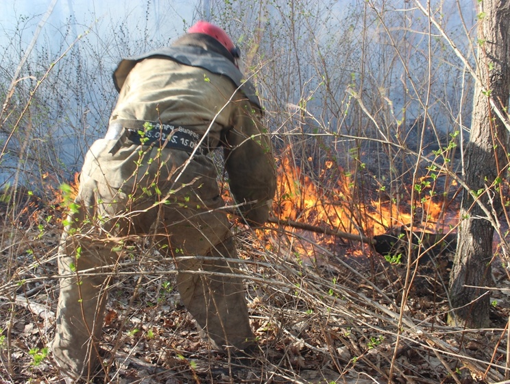 Госслужба по ЧС: В Чернобыле спасатели продолжают тушить пожары