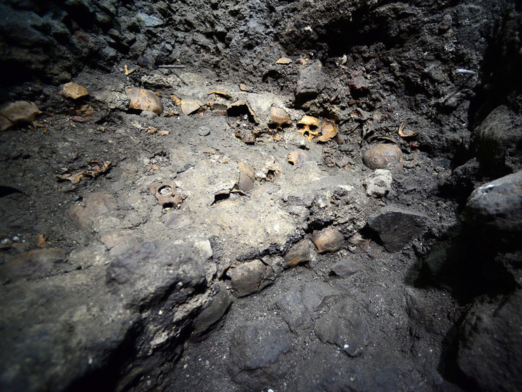 В центре Мехико археологи откопали стену из человеческих черепов