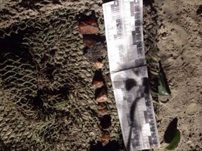 СБУ: В Житомирской области задержаны пять нелегальных копателей янтаря