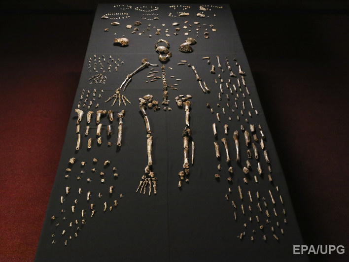 Associated Press: Ученые нашли в ЮАР кости нового предка человека