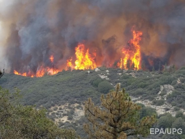 Лесные пожары в Калифорнии уничтожили 400 зданий, эвакуированы более 19 тыс. человек