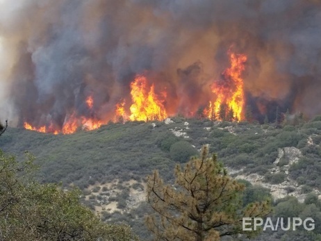 В Калифорнии водитель снял на видеорегистратор свой побег из горящего леса. Видео