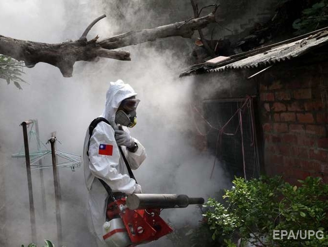 В Тайване от комариной лихорадки денге умерли 42 человека