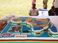 На празднование дня рождения Мугабе в Зимбабве потратили $1 млн. Фоторепортаж / Гордон