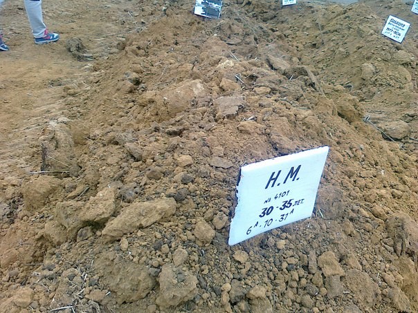 Соцсети: На городском кладбище в Ростове-на-Дону обнаружены новые массовые захоронения. Фоторепортаж / Гордон