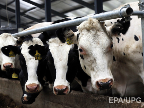 18 украинских предприятий получили разрешение на поставки молочной продукции в Китай