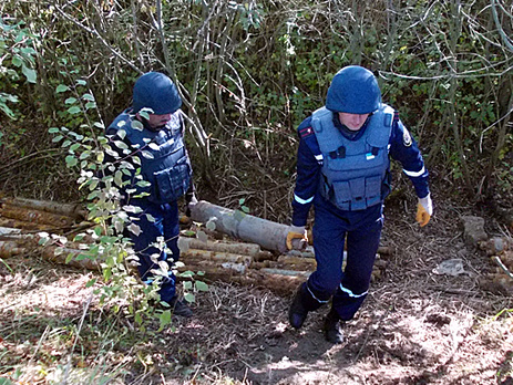 В Закарпатье грибник нашел в лесу 63 реактивных снаряда советского производства. Фоторепортаж