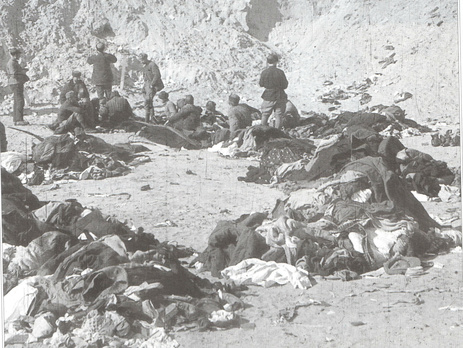 Киевлянка Хорошунова в дневнике 1941 года: В ледяные ночи пленные остаются на улице и воют. От этого люди, живущие возле лагеря, сходят с ума