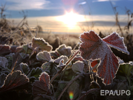 Гидрометцентр: В Украине 7–8 октября ожидаются заморозки