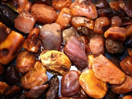 На границе с Польшей пограничники задержали 100 кг контрабандного янтаря