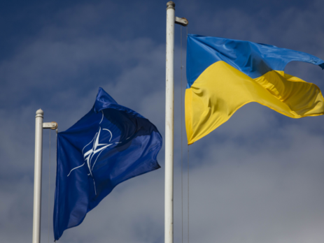 Парламентарии стран НАТО призывают свои правительства усилить давление на Москву