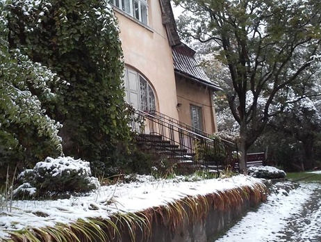 Во Львове выпал первый снег