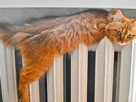 В Киеве дали отопление в треть жилых домов