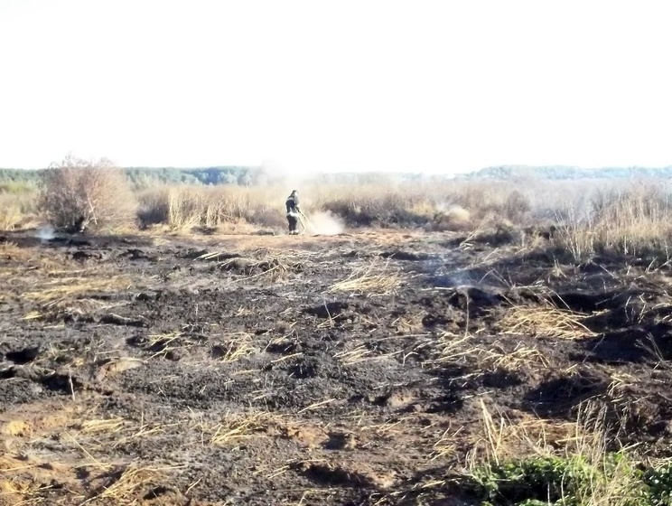  Под Киевом снова горят торфяники