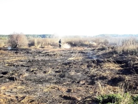 В разных местах Киевской области горят торфяники