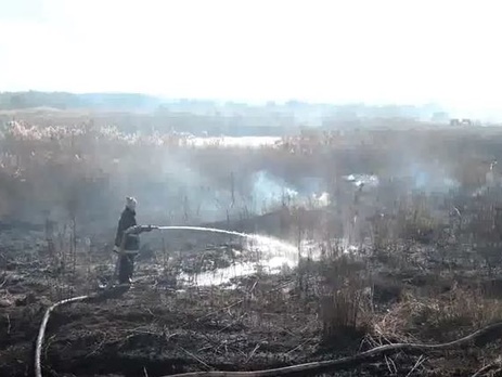 Под Киевом тушат уже 24 торфяника, в городе слышен запах гари